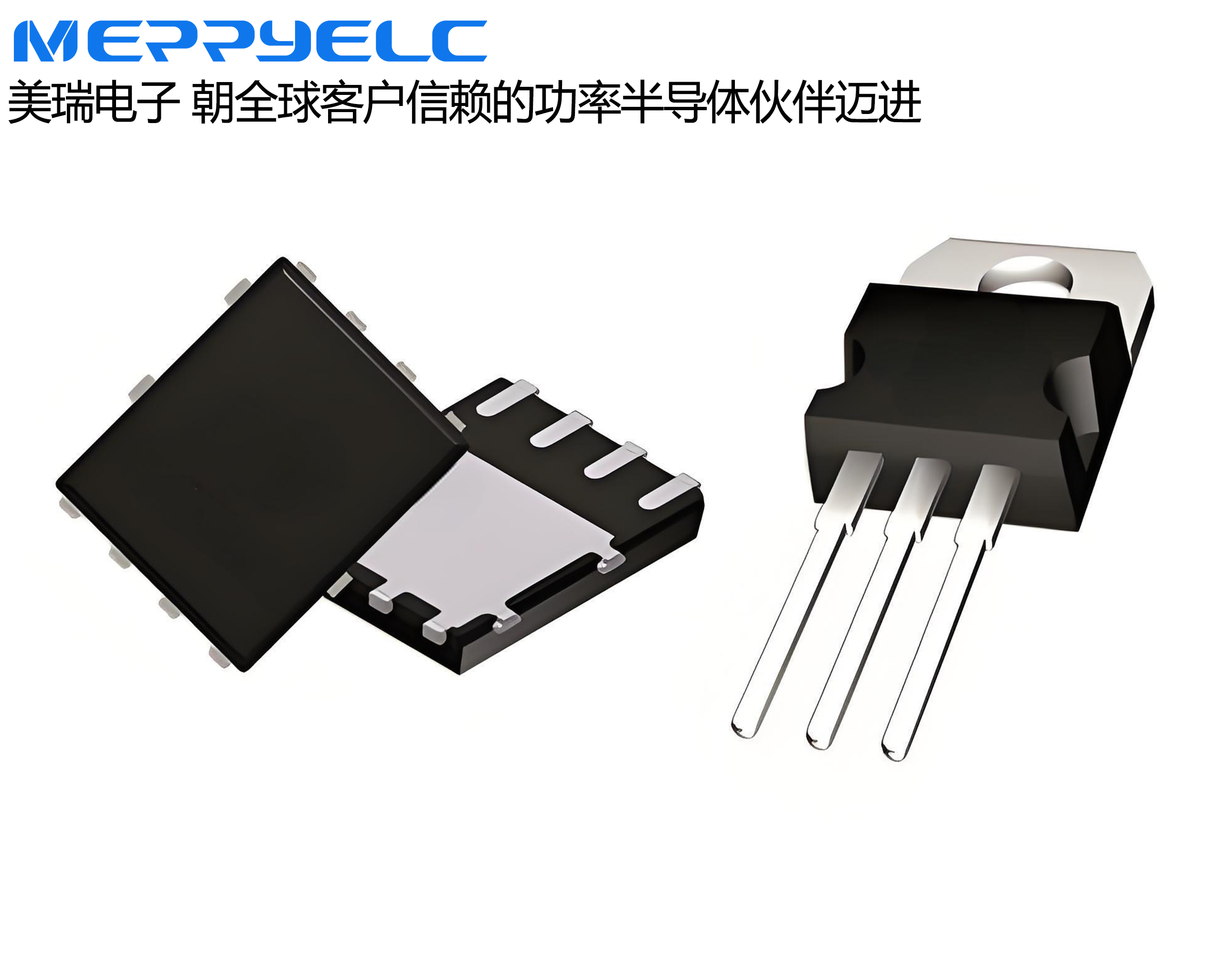 東莞草莓视频官网電子 專業的功率半導體代理商
